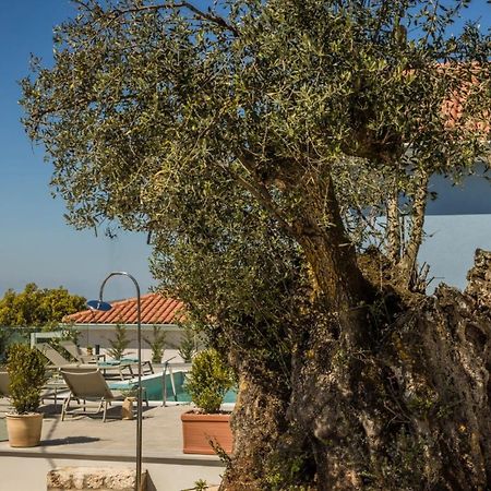 Summertime Villas Argostoli  Exteriör bild
